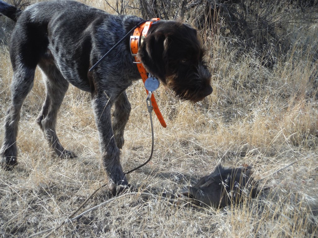 The practical application of “place learning” scottlindenoutdoors.com/2019/08/21/the…