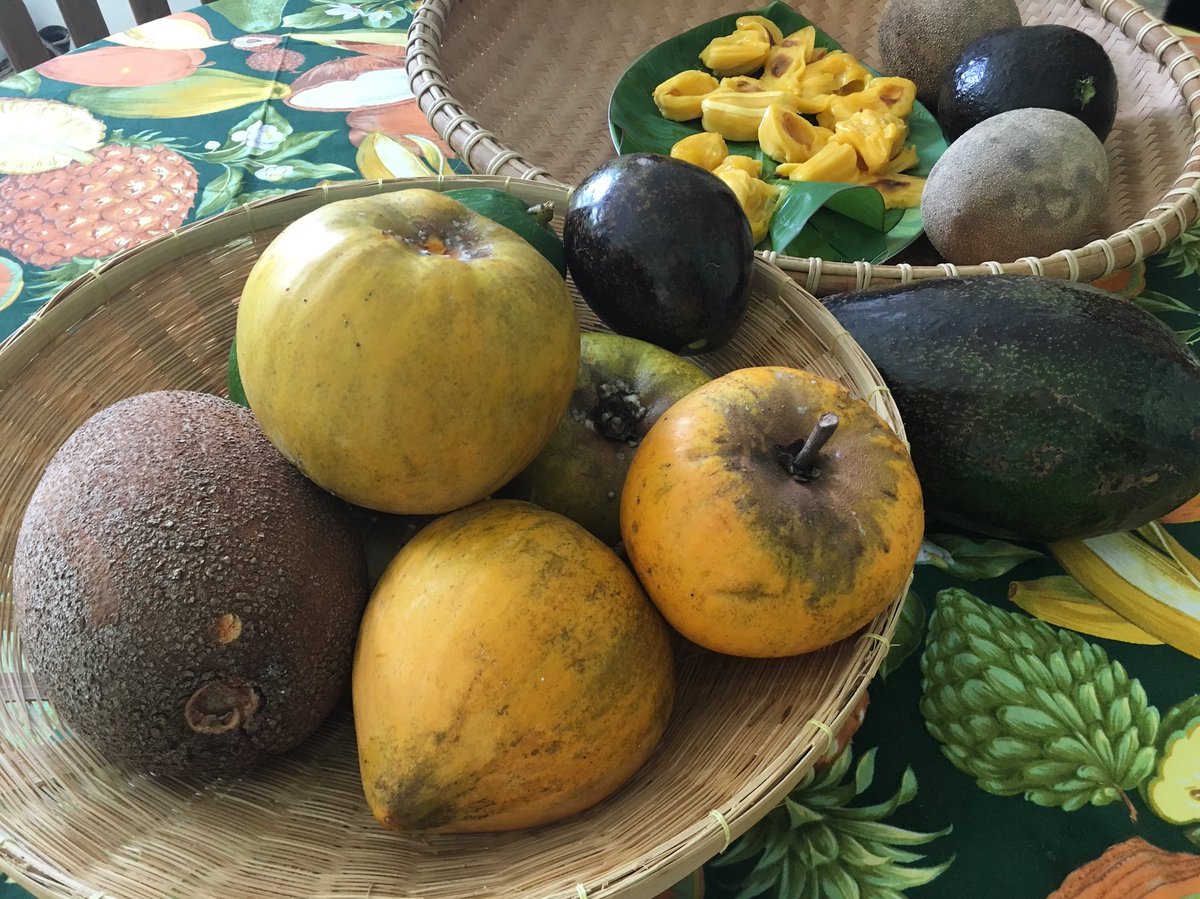 RareFruitMiami's tweet photo. Fruit display by the indefatigable Dr. Noris Ledesma for our local affiliate club in Redland #TFVSR @fairchildgarden @Floridamangos @fruitnspice #RareFruitCouncil #RareFruitMiami #RFCIMiami #MiamiFruit #RareFruit #RedlandRaised #FreshFromFlorida @freshfromFL https://t.co/RdPxj5lWro