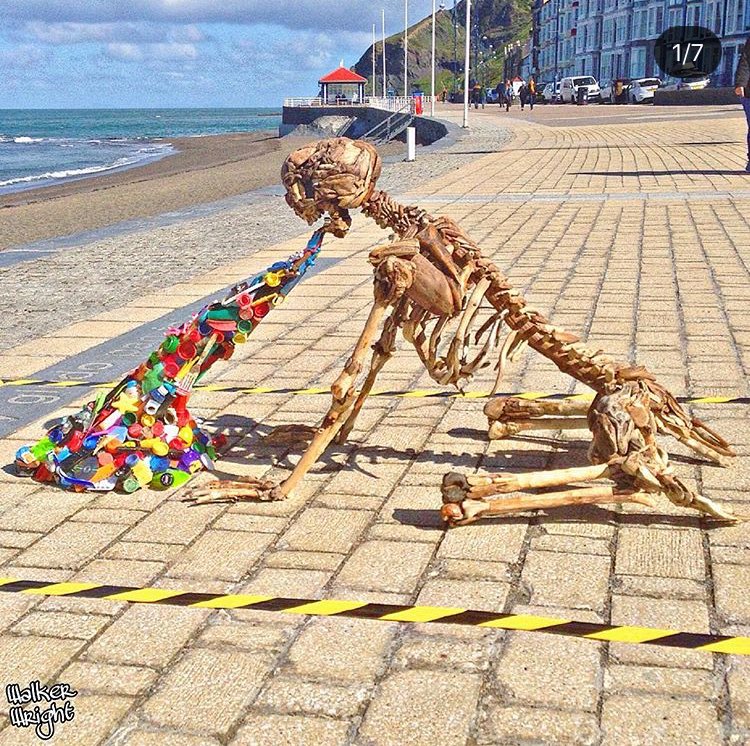 plastictides's tweet photo. Plastic makes us sick 🤒

#REPOST from IG user @walkerwrightartist https://t.co/C2U9xBy8AS
