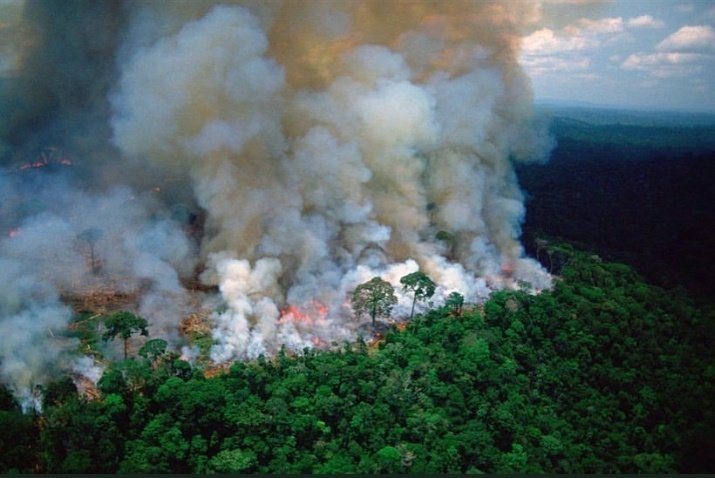raquel_filipa_'s tweet photo. Estou mesmo preocupa, a maior floresta do mundo está a arder, vamos de mal a pior🤷‍♀️  #PrayforAmazonas https://t.co/54bm7Ahd7t
