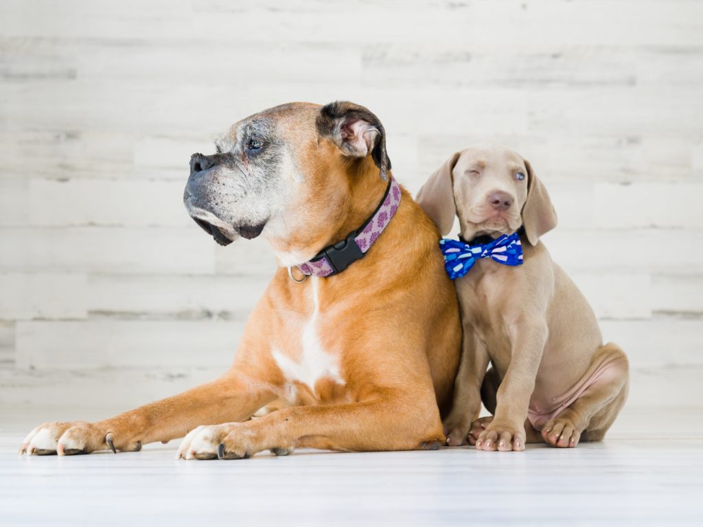 jamesandmichee's tweet photo. Our latest portraits are up! New Addition to The Hill Family! - https://t.co/euLlRHlKNu https://t.co/cpUDOvuWQR