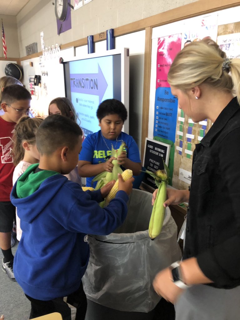 JFNorfolk's tweet photo. Awwww ..... shucks!                          4th grade students getting some “hands on” corn shucking experience.                     #npspanthers https://t.co/Qu4pbARF4z