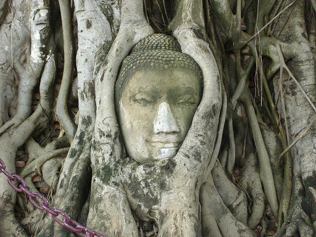 タイ旅行 アユタヤ王朝 最大の寺院跡を訪ねて Y Syunjuu Part2のブログ