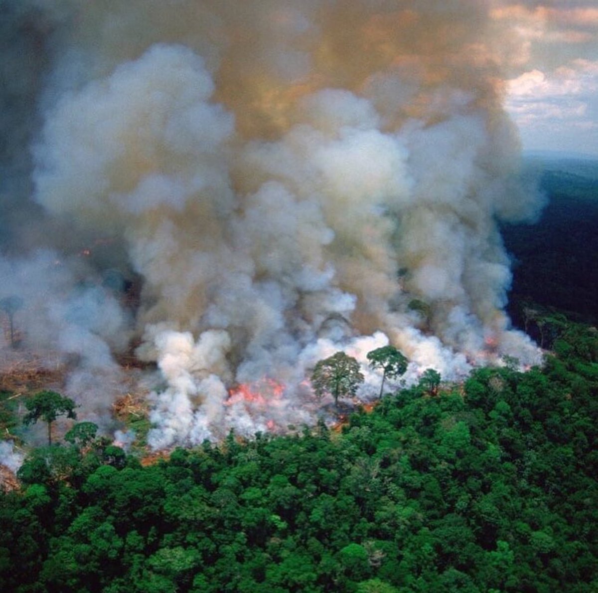 G3rsM's tweet photo. @unesco @ONU cuántos años para reconstruirlo versus @notredame, y no hacemos nada. https://t.co/Tzk3nM2LVm