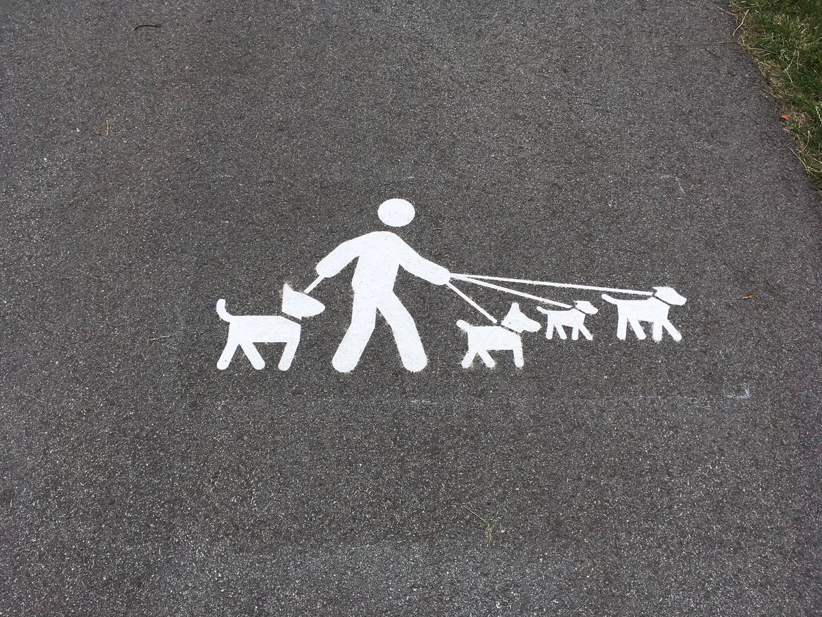 Square One Paving tweet media