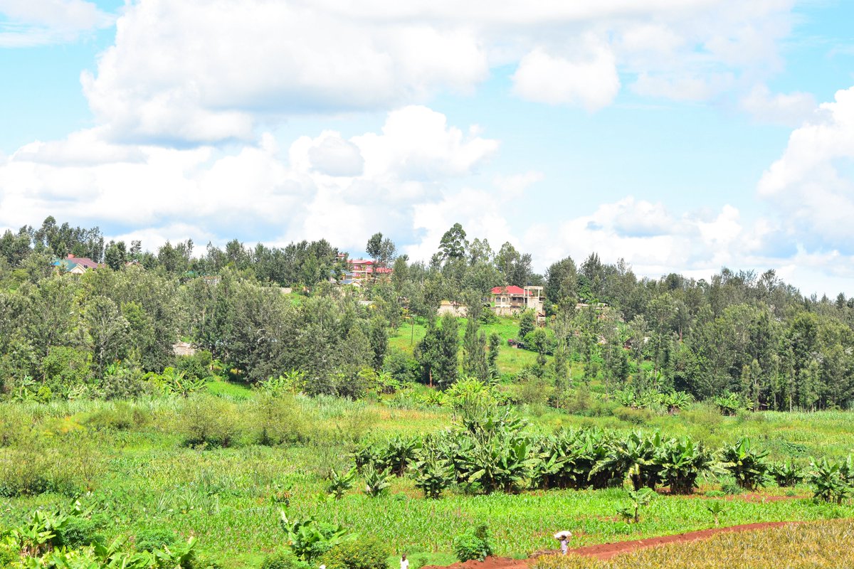 AngazaEstatesKE's tweet photo. The magic thing about a home is that it feels good to leave and even better to come back. 

Buy a portion of Laikipia County at Rumuruti where we are selling ;
1 acre @ 550K
100*100 @ 195K
50*100 @ 130K

Call us at 0792 948 881 for booking today. https://t.co/bazY3D9eJW