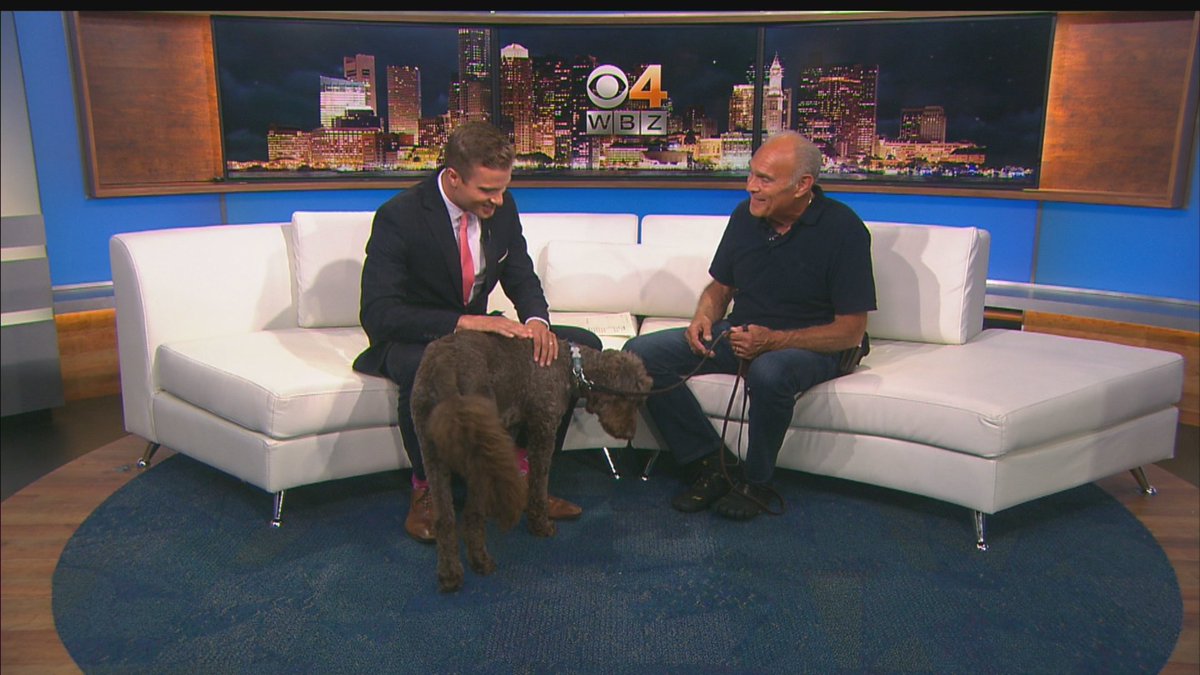 LiamFromBoston's tweet photo. Such a good girl -- at 8 on TV38. https://t.co/6vOHNoiXRH