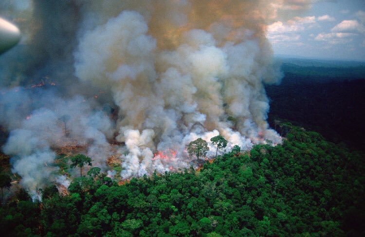MarcoColn6's tweet photo. EL PULMÓN DE NUESTRO PLANETA SE ESTÁ DERRUMBANDO ANTE NUESTROS OJOS, NO ES POSIBLE QUE LAS AUTORIDADES NI LOS MEDIOS DE COMUNICACIÓN HABLEN DE ESTO POR QUÉ CALLAN?

#PrayforAmazonas https://t.co/LbTh0g08qx
