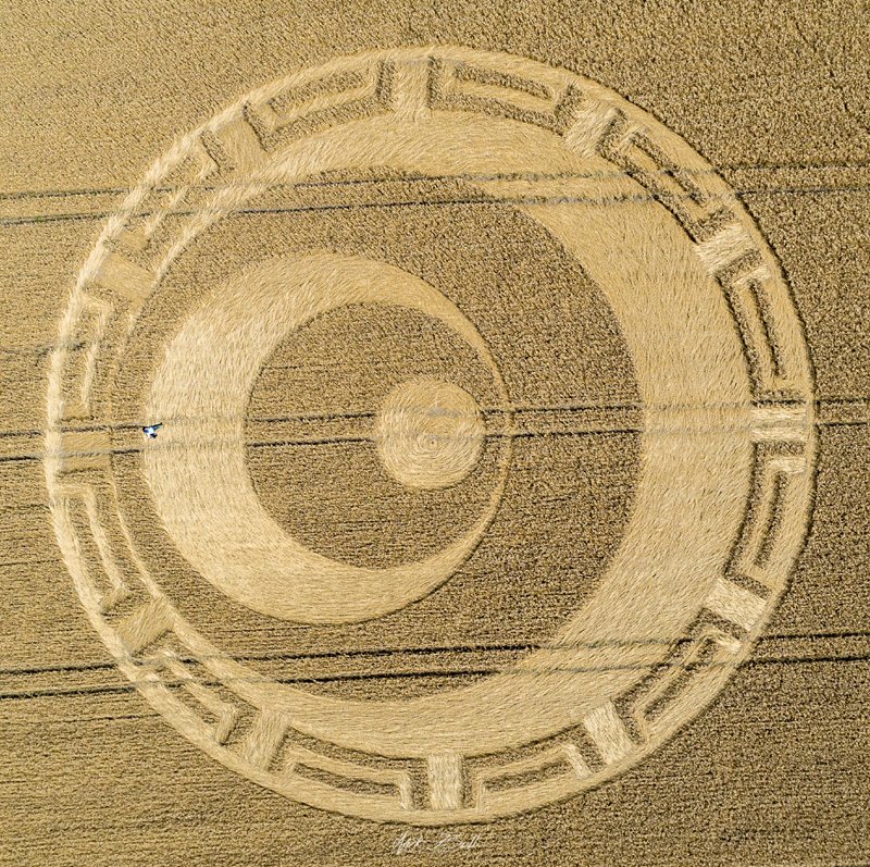 RedCollie1's tweet photo. #cropcircle New crop circle on August 20 at Nursteed Farm
https://t.co/STWiUgtcJw https://t.co/J6lnFNPDZG