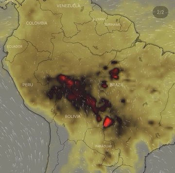 View image on Twitter