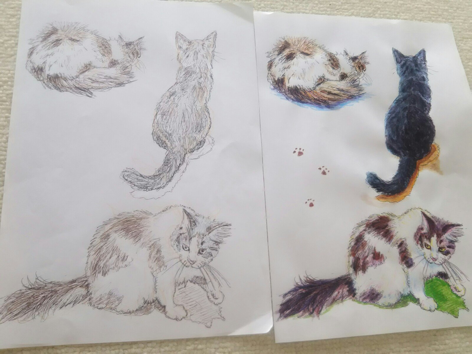 ギャラリーねこい 12月7日 12日まで新潟美術学園ギャラリー展示会参加 本日の亀田紹介イラスト 亀田の猫カフェ Nekomeikan さんの猫ちゃん達をぬりえにしました 今回は子供達が塗りやすい様に後ろ姿が多めです 新潟 亀田 猫 猫カフェ イラスト
