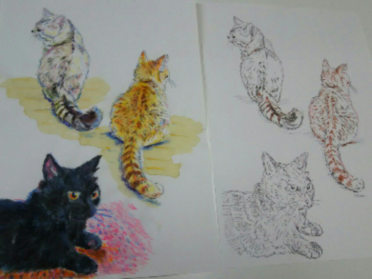 ギャラリーねこい 7 27 8 2 イラスト展示会 本日の亀田紹介イラスト 亀田の猫カフェ Nekomeikan さんの猫ちゃん達をぬりえにしました 今回は子供達が塗りやすい様に後ろ姿が多めです 新潟 亀田 猫 猫カフェ イラスト アナログイラスト