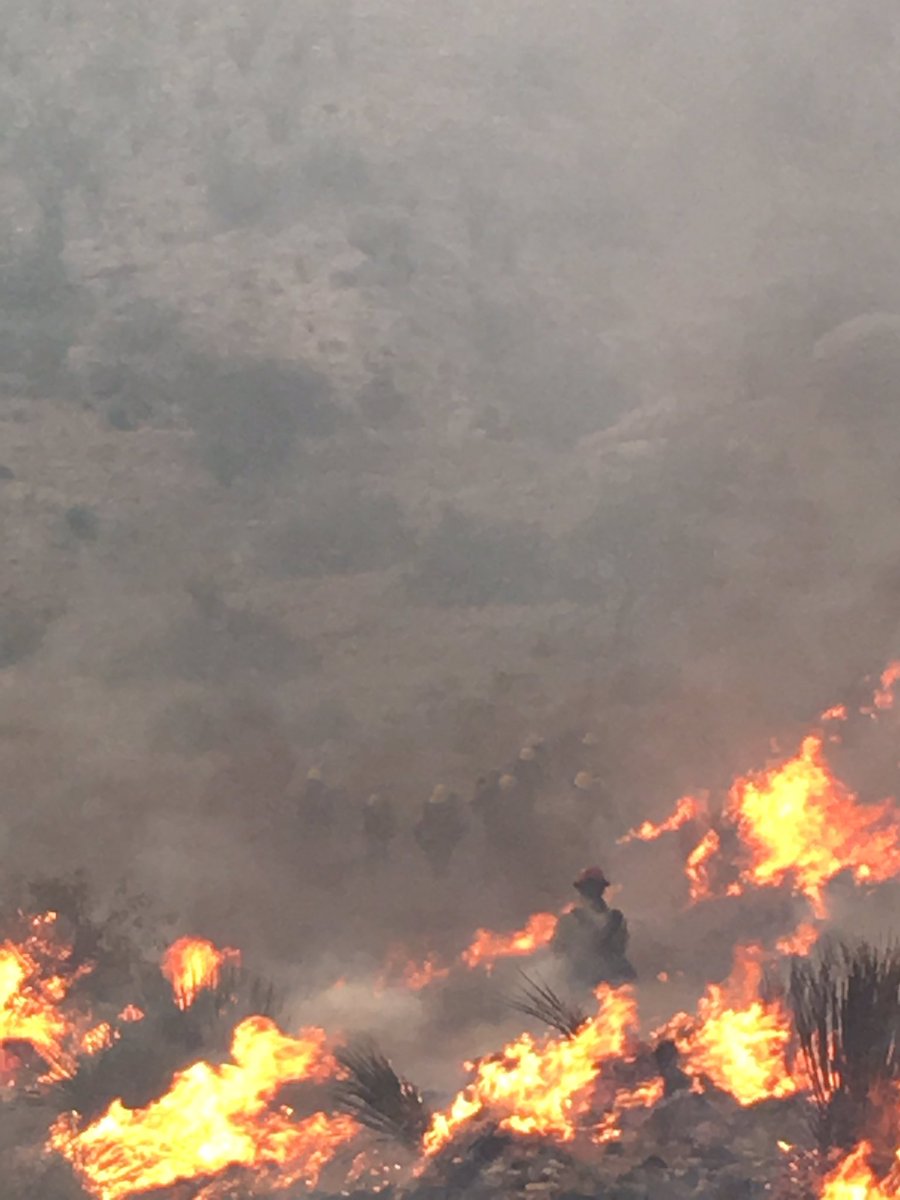 azstateforestry's tweet photo. Firefighters still working to stop forward progress on #RoblesFire #CochiseCounty. Fire was 40 acres, but has grown. IC will get better acreage in daylight tom. Fire is burning near I-10 & Dragoon Rd thru grasses & brush. No structures threatened at this time. #AZForestry #AZFire https://t.co/5lS8VNG8Gm