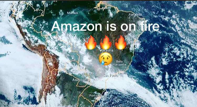 DeccOliveira's tweet image. 🇧🇷The Amazon asks for help 🙏🏻🙏🏻#amazonisonfire