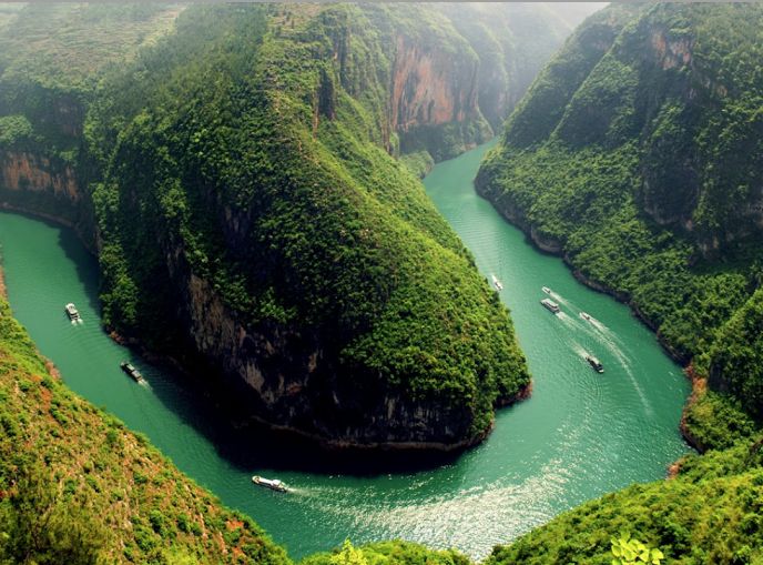 _lim98j's tweet photo. Si los árboles dieran WiFi todo el mundo plantearía árboles y detendriamos la deforestación.. actuaremos más rápido mediante la destrucción de su Flora y fauna, lástima que solo produzca oxígeno, regule el clima, proteja el suelo y agua y nos den frutos ....

#PrayForAmazonas https://t.co/NxbHPebxkn