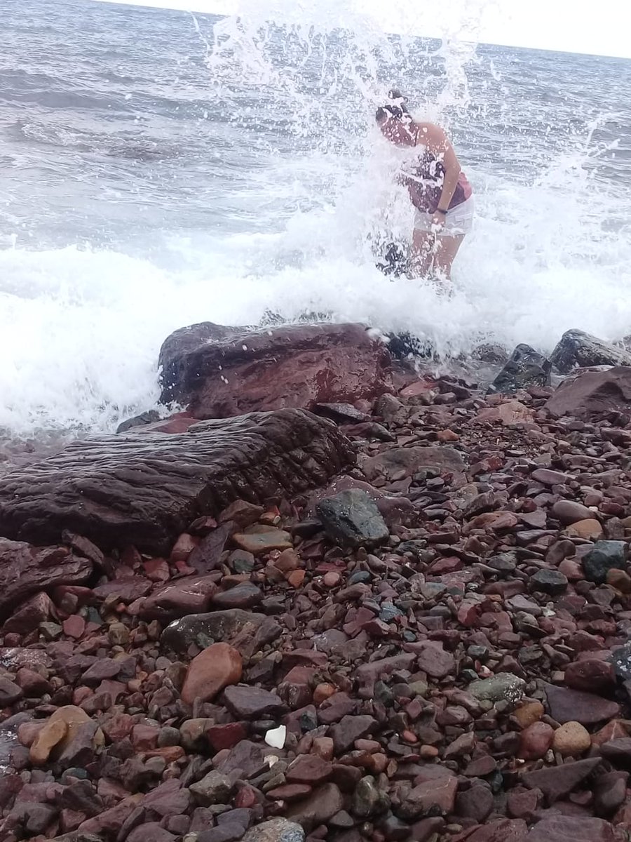 LicPipoBarreraG's tweet photo. #CuidandoElPlaneta
Cada quien en lo suyo.
#PlayasLimpias
Cuando visites un lugar. Deja limpio como estaba.
#CocoLizarraga
#GuaymasLimpio
#QuererQueSePuede
Que nadie deje de participar y formar parte de este #Verano2019
@mollynico @KukysGarzon
#MovimientoAmbientalistaSocial https://t.co/rTHz2ySU5n