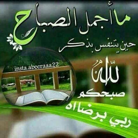 اللهم في هذا اليوم يسر حال من تعسر وافرج هموم من ضاقت عليه الدنيا وما فيها
صباح الخير