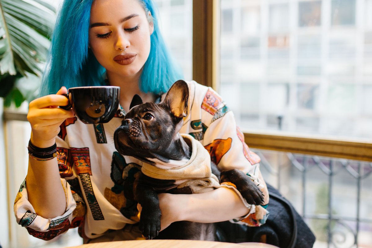 MPI_NZ's tweet photo. Has your furbaby had a ruff day? Paw them a puppacino at your local dog-friendly cafe! >> https://t.co/JsNTXvRuts
The #FoodAct2014 means businesses can allow pets if they manage the potential risk to #foodsafety. A common sense approach to food safety = a pawfect coffee date 😍 https://t.co/W6AWsBrIGx