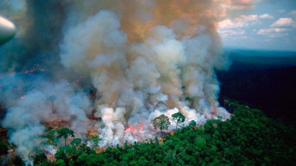 AkirahTaetae's tweet photo. @BTS_twt Armyys , 
AMAZON IS BURNING.
WE NEED YOUR HELP..
THERE IS NO MEDIA COVERAGE..
#PrayForTheAmazon 
#PrayForTheAmazon https://t.co/iKATLspOHa