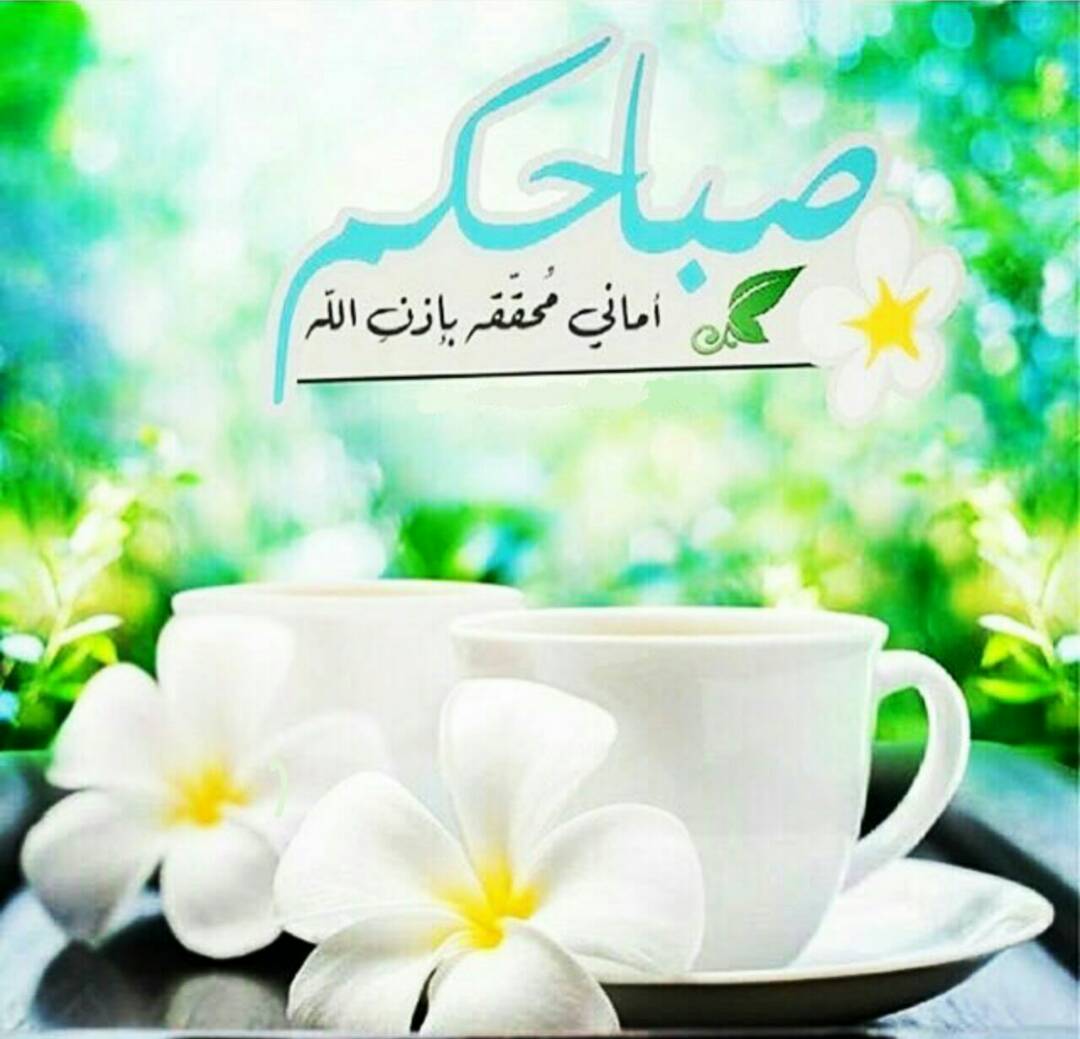 يَا رَبيْ أينَمَا كَانْ { الهُدىّ } إجعَلهُ طَريقنَا ؛🌼🍃وَ أينَمَا كَانْ { الرَضَا } إجعَلهُ رَفِيقنَا ؛☺و أينَمَا كَانتّ { السَعادَة } إجعَلهَا فِي قُلُوبنَا ؛♡
يسعد صباحكم