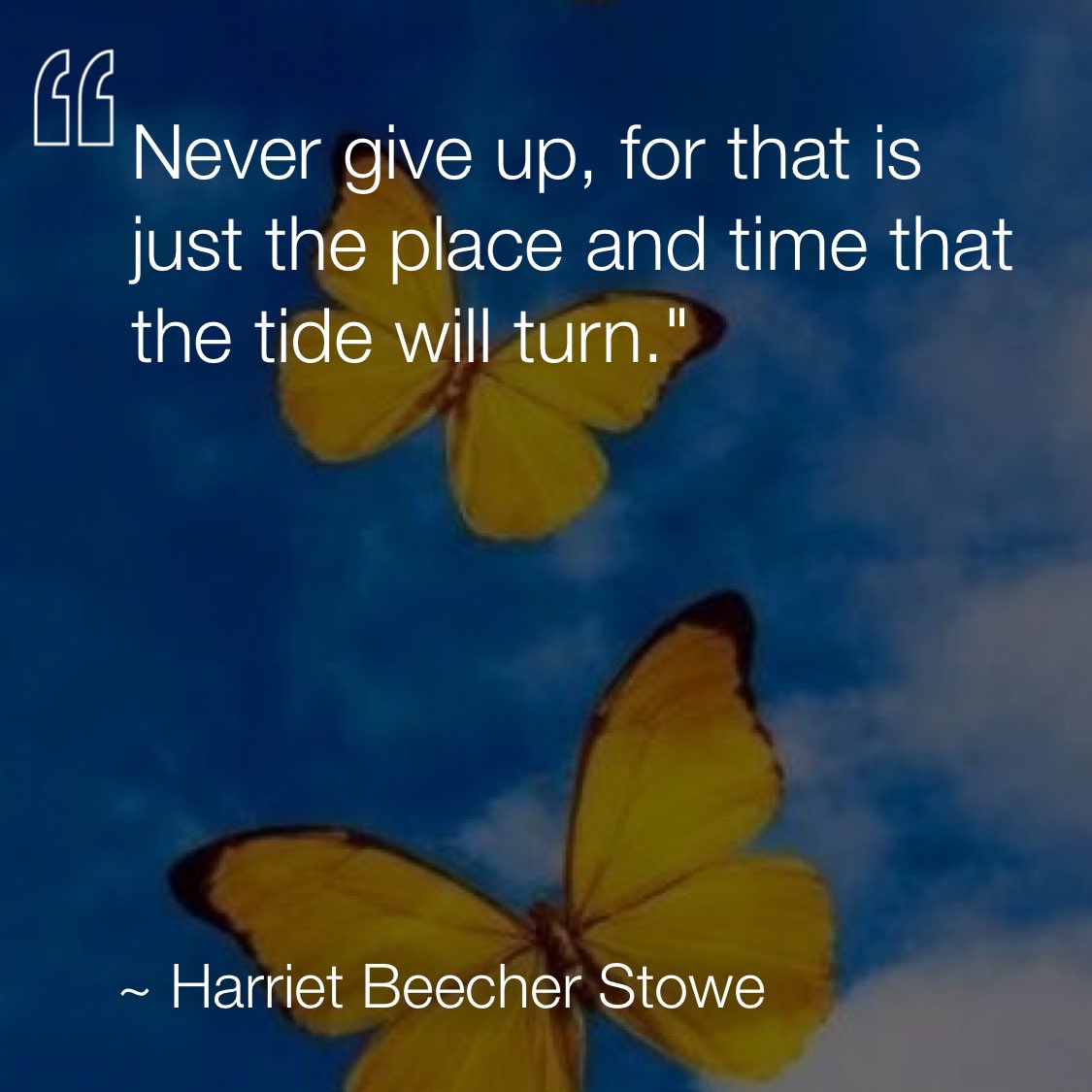 Never give up, for that is just the place and time that the tide will turn. —Harriet Beecher Stowe via <a href="/dailyqotdapp/">DAILYQOTDAPP</a> #dailyqotdapp