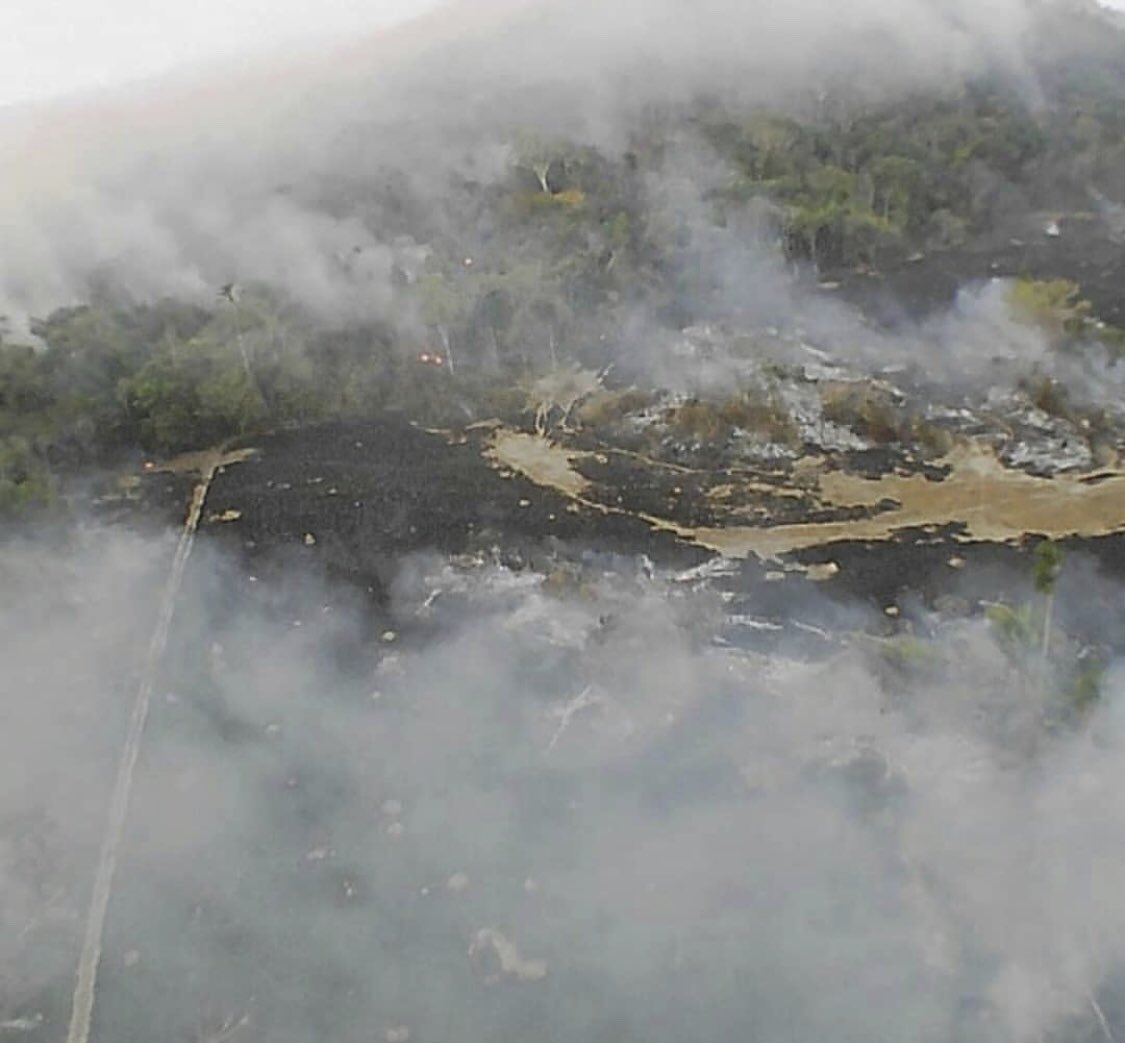 mlozaperu's tweet photo. La humanidad tiene que tomar conciencia,por alguna razón los medios han dejado de comunicar una noticia tan importante. Seamos  la voz! de nuestro planeta,el Amazonas necesita ayuda 🙏🏼 esto es una emergencia global,oremos por nuestro planeta.🌎 https://t.co/znWOSyxSTn