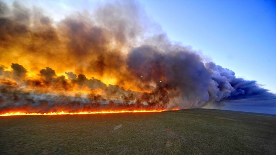 mippci_ven's tweet photo. #EnFotos 📸 | El pueblo de venezuela lamenta el devastador incendio en la Amazonia que lleva más de15 días y que se ha propagado en gran parte de la selva brasileña. 

#VenezuelaProsperaYProductiva 

#PrayforAmazonas 

#AmazonRainforest https://t.co/p6OlrRduUN