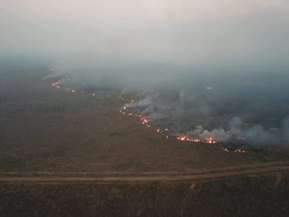 Ayda97292277's tweet photo. The amazon rainforest is literally one of the most incredible wonders of the world. It provides 20% of the oxygen to the world and here it is burning right in front of us, PEOPLE WAKE TF UP. WE ARE LOSING A SOURCE FOR THE HUMAN AND ANIMAL LIFE. #PrayforAmazonas https://t.co/DZOGXtu2GT