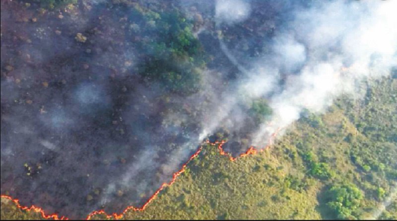 VTVcanal8's tweet photo. EN CLAVES | Deforestación de la Amazonia se ha triplicado en un 278% desde la llegada de Bolsonaro 

#VenezuelaPrósperaYProductiva

 https://t.co/XAlbQIGhYJ https://t.co/TSSEjGUUQF