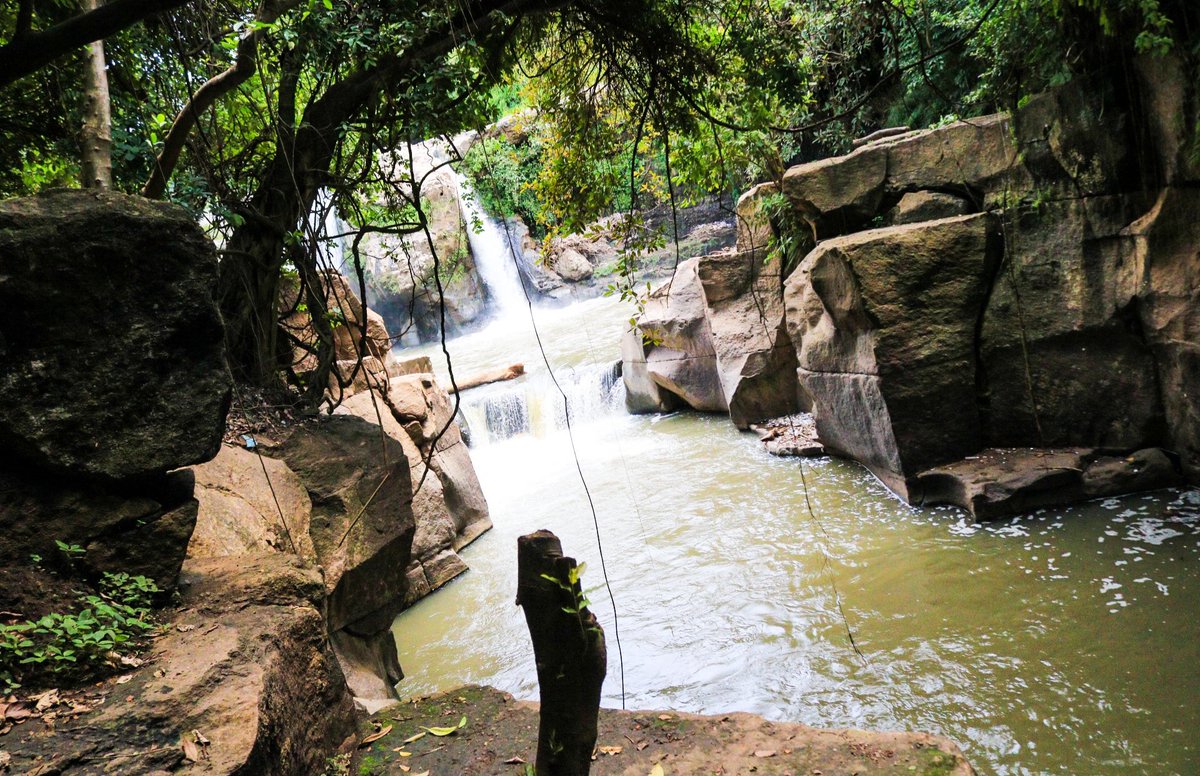 Mauricio Interiano tweet media