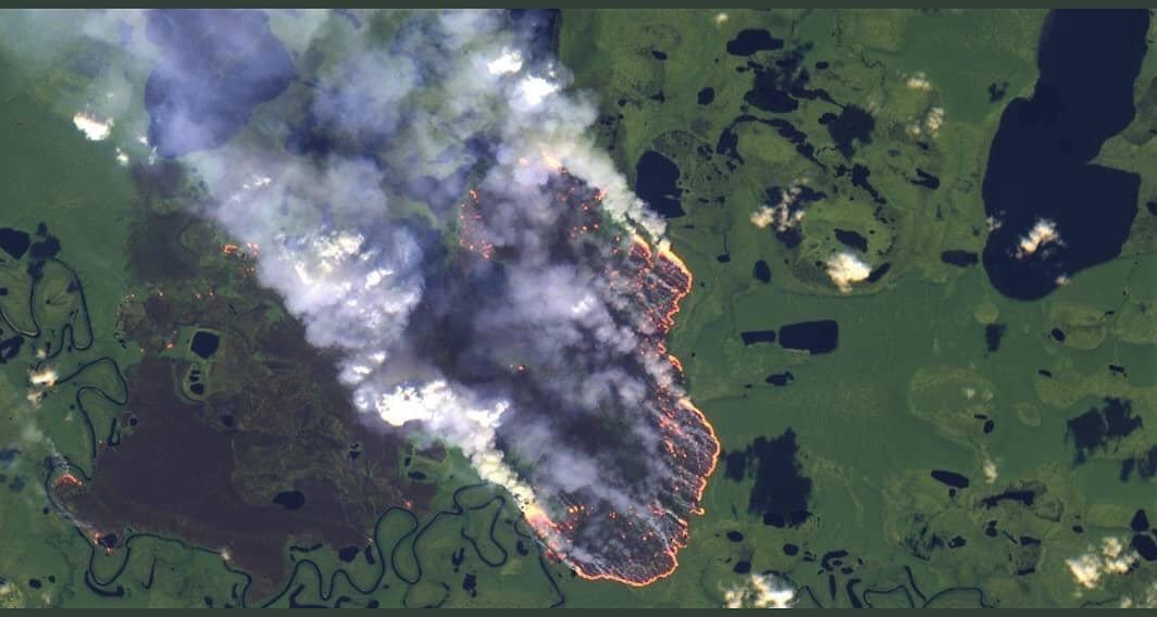 julianamado's tweet photo. La comunidad internacional debería condenar a #JairBolsonaro, por su prepotencia y desinterés sobre lo que ocurre en el #PulmóndelPlaneta. El Amazonas lleva mas de 16 días consumida por el fuego, especies estan muriendo y nadie parece darle importancia. #PrayforAmazonas #AmazonR https://t.co/QjOxlhEkhC