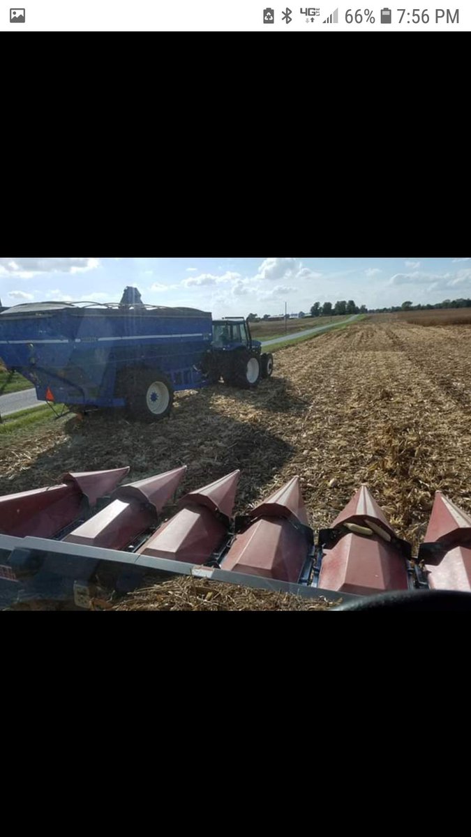 2009 8 row Drago 2nd owner. New gathering chains in 18. Height control, auto deck plates. Only used <a href="/DragoIndiana/">Drago Indiana</a> grease. Case flagship hookup  or New Holland. $15,000. Retweets appreciated. 
Rensselaer,  IN. #harvest19