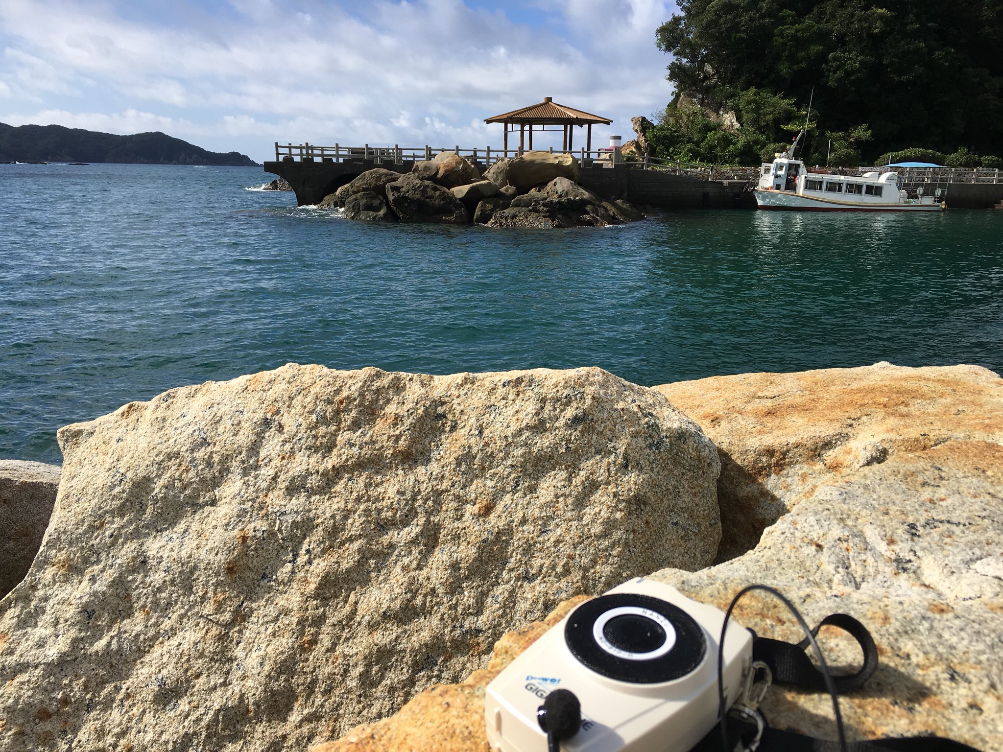 四万十 足摺 竜串グラスボート T Glassboat Twitter