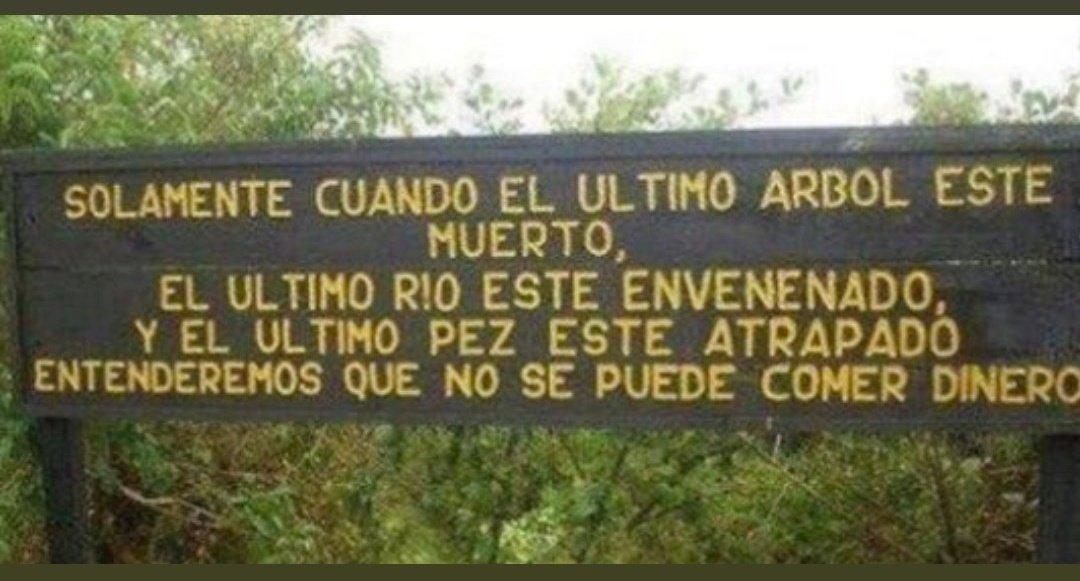 GeorginaMonse18's tweet photo. Si no hacemos algo ya,este puede ser nuestro cruel final
#PrayforAmazonas
#ARMYHelpThePlanet https://t.co/d4DUwu4wFJ