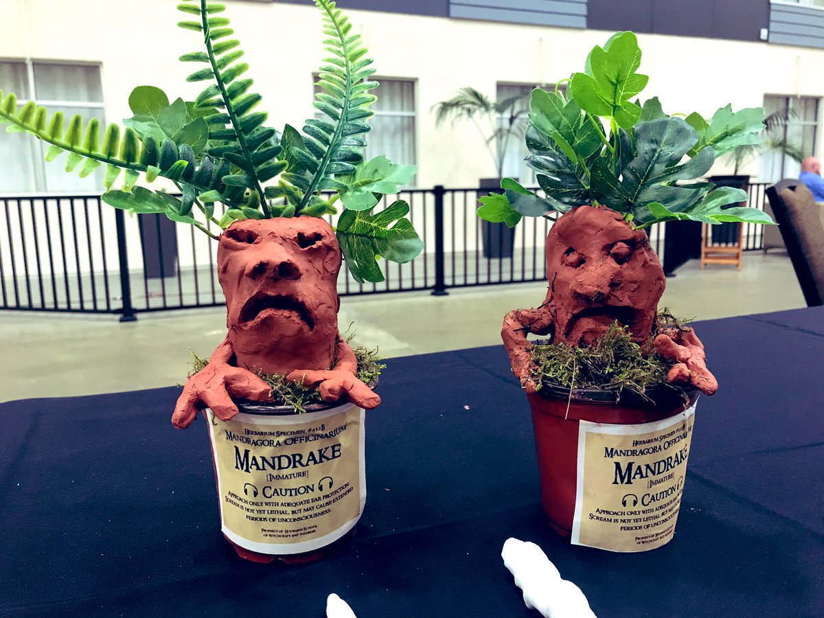ChrissyLockard's tweet photo. Mandrakes and wand making at our back to school meeting. It’s time to make the magic happen! #teamcca #ccamagic https://t.co/1fSV3V5Ahj