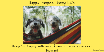 BiomexUSA's tweet photo. Natural cleaners are an important element in keeping our environment safe, clean, and healthy for our pets! #biomexusa is #biodegradable and can clean anything!
 #natural #cleaner #nopreservatives #nochemicals  #dyefree #solventfree
.
.
 #ecofriendlyliving #petlovers #petfriendly https://t.co/5Syftf7hOa