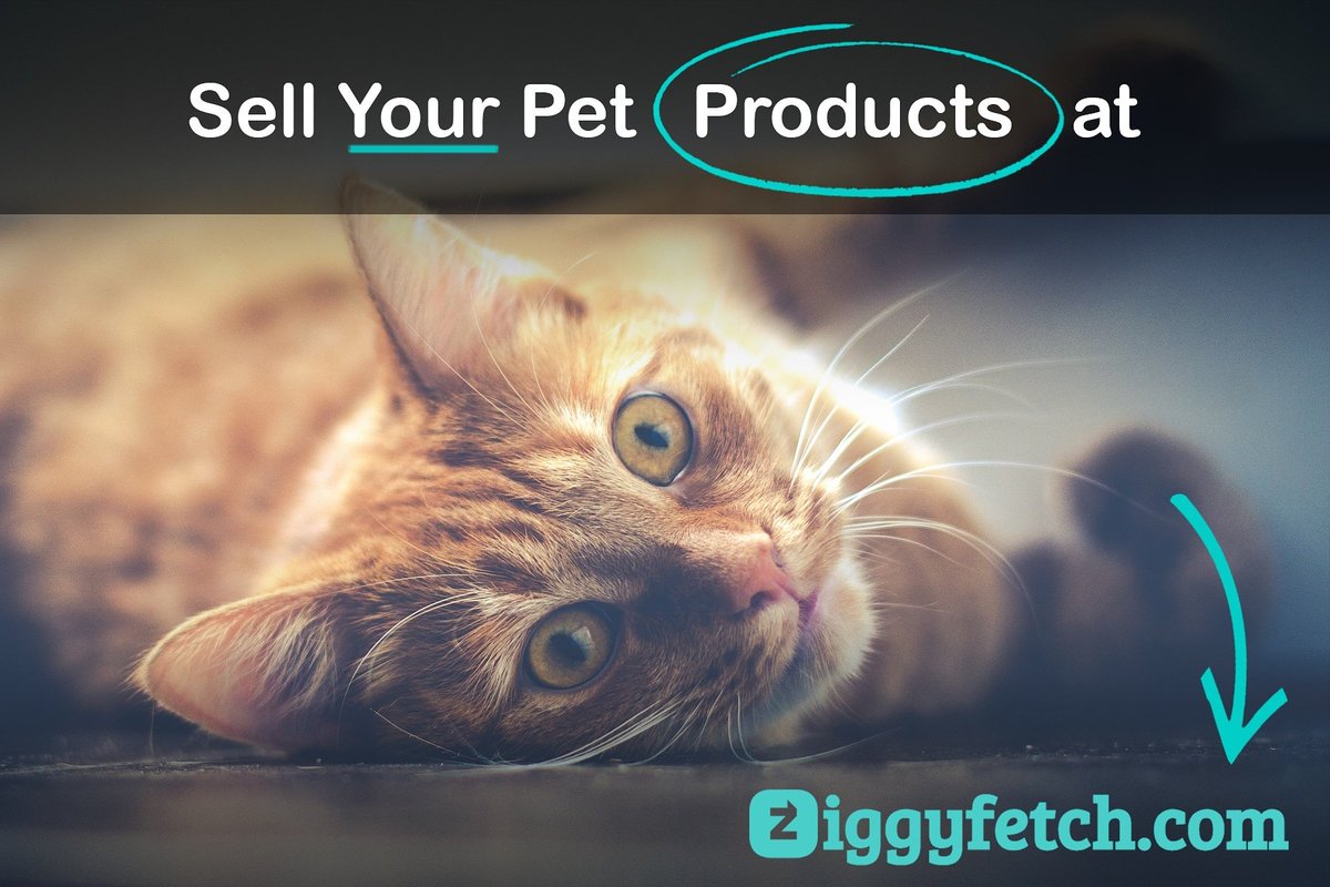 Ziggyfetch_Inc's tweet photo. Sell your pet products at https://t.co/BGjRZ51qBE

We are a free to use e-commerce platform (No charges or fees)

#ziggyfetch #superzoo #dogproducts #catproducts #petproducts @UnitedStates https://t.co/q36AgcXVB0