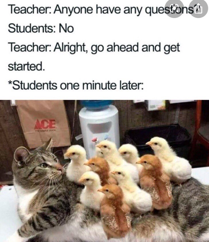 photogirlcara's tweet photo. We officially have another group of @TexasOnRamps #Rhetoric scholars registered at @South_Hills_HS! I asked them to send me a funny back to school meme, and this one PERFECTLY mirrored our day. 😂😂😂😂😂😂😂 #learningisfuninG209 #welcomeback #timetogetstarted #letsgo https://t.co/IQzMum4ug2