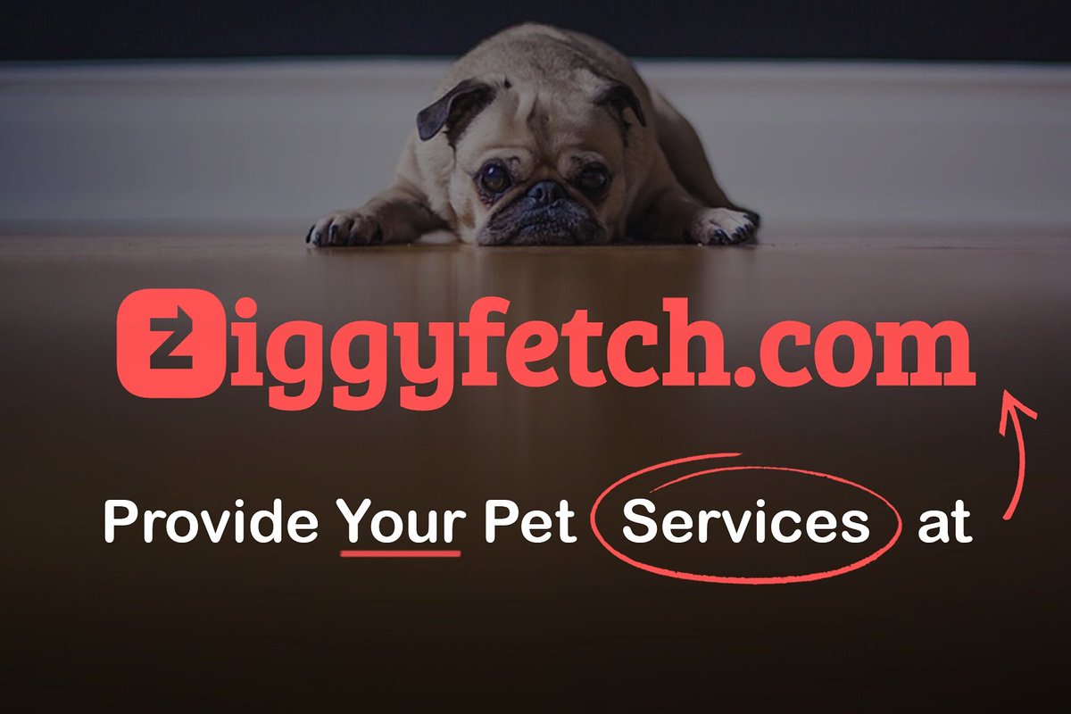 Ziggyfetch_Inc's tweet photo. Provide your pet services at https://t.co/BGjRZ51qBE

We are a free to use e-commerce platform (No charges or fees)

#ziggyfetch #superzoo #doggrooming #catgrooming #pets @UnitedStates https://t.co/IJe4gvseUI