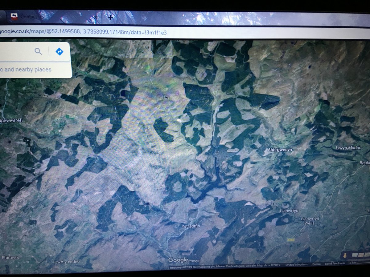 TruthThey's tweet image. It's ok we do not need trees we do the same in the UK