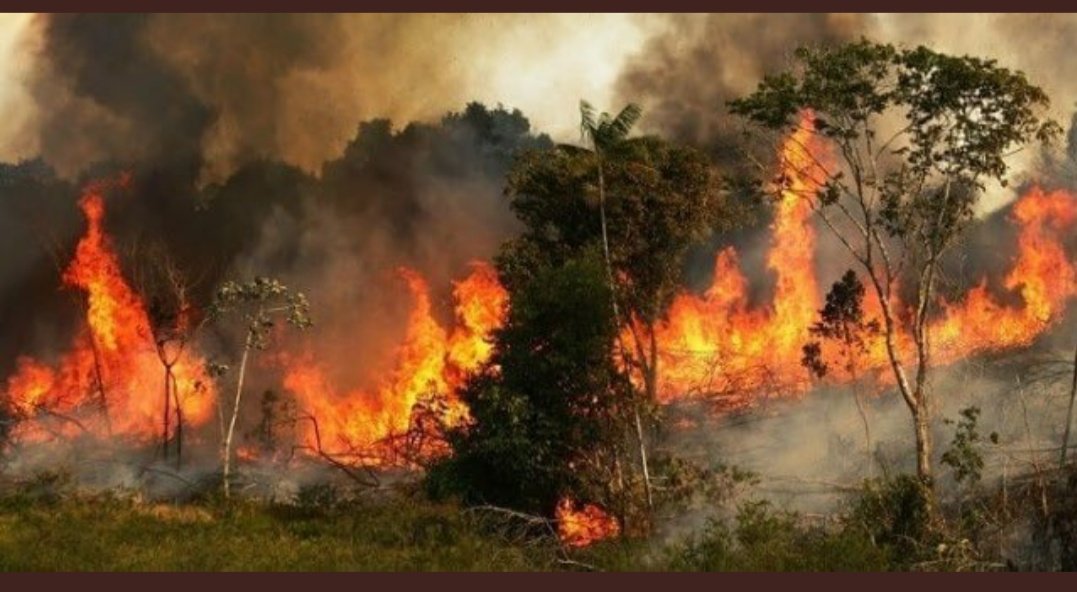 Mostafa64502518's tweet photo. #PrayforAmazonas https://t.co/A9N5gX4c9J