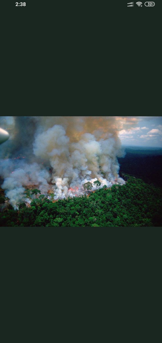 Mostafa64502518's tweet photo. #PrayforAmazonas https://t.co/A9N5gX4c9J