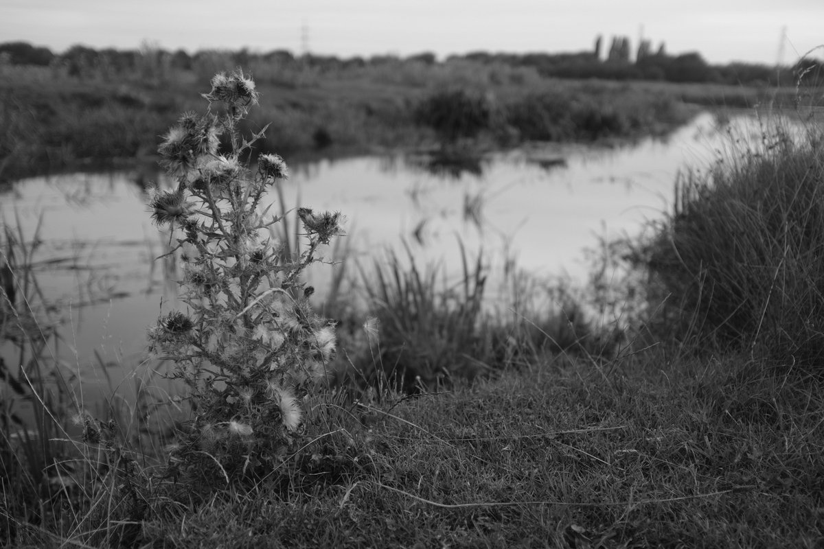 view revoluţiile din view revoluţiile din 1989 între