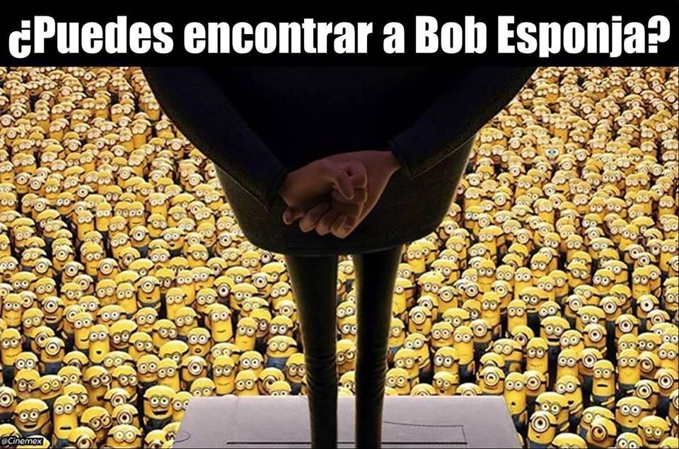 AlicitoalichinK's tweet photo. Si lo encuentras da Rt y si no da Fav https://t.co/IGefi4eROl
