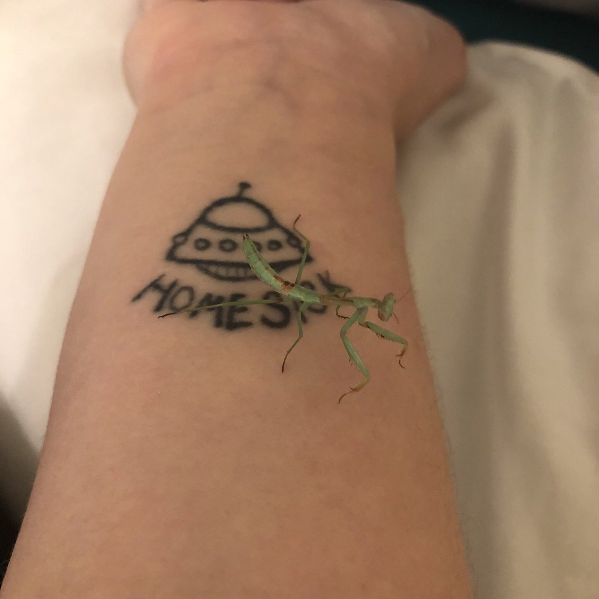 ||: look at my new child i named gamora