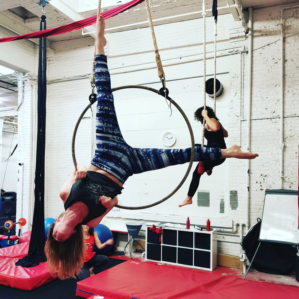 MsCMcConnell's tweet photo. Nah nah nah nah nah nah nah nah Batgirl! #batgirlpose #aerialhoop #cirqueability #whatididonmysummervacation https://t.co/s98m50xxTR