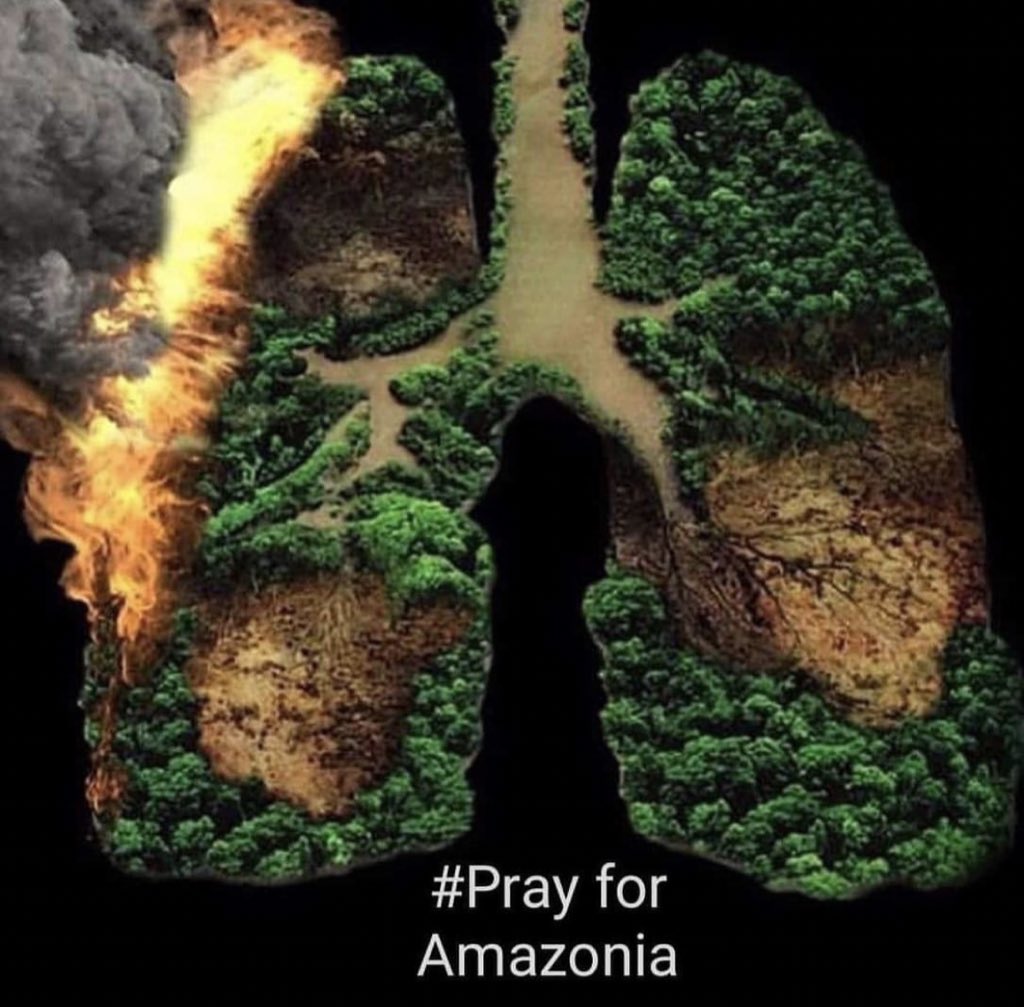 RosanaOficial's tweet photo. Se llenaron los paisajes de fuego
el miedo ardió en tu piel...
Se secaron los estanques de lluvia
llegó hasta el mar la sed...
Se cerraron los senderos del aire 
apenas respire...
Tú eliges...tu decides
el mundo que quieres...la vida que vives! #fuerzagrancanaria #prayforAmazona https://t.co/hcBhfDl5Oj