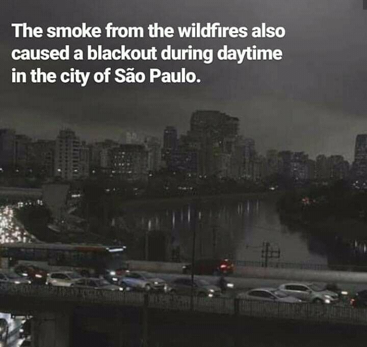 MNitesh09's tweet image. This is extremely horrifying and needs global attention for sure.what the hell are we doing with our mother earth?Is this the way we gona survive ? what on earth are we gonna  leave for the generations to come?
#Shame
#amazononfire 
#environment 
#GlobalWarming