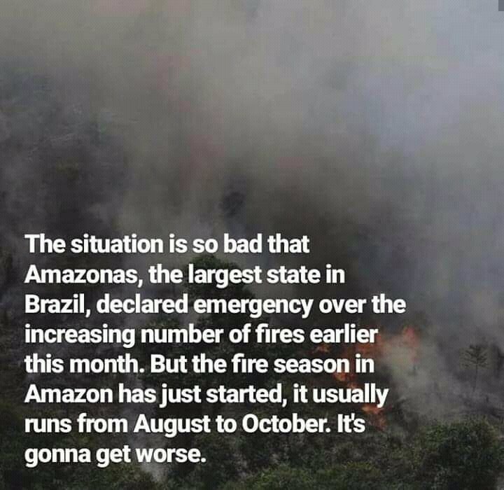 MNitesh09's tweet image. This is extremely horrifying and needs global attention for sure.what the hell are we doing with our mother earth?Is this the way we gona survive ? what on earth are we gonna  leave for the generations to come?
#Shame
#amazononfire 
#environment 
#GlobalWarming