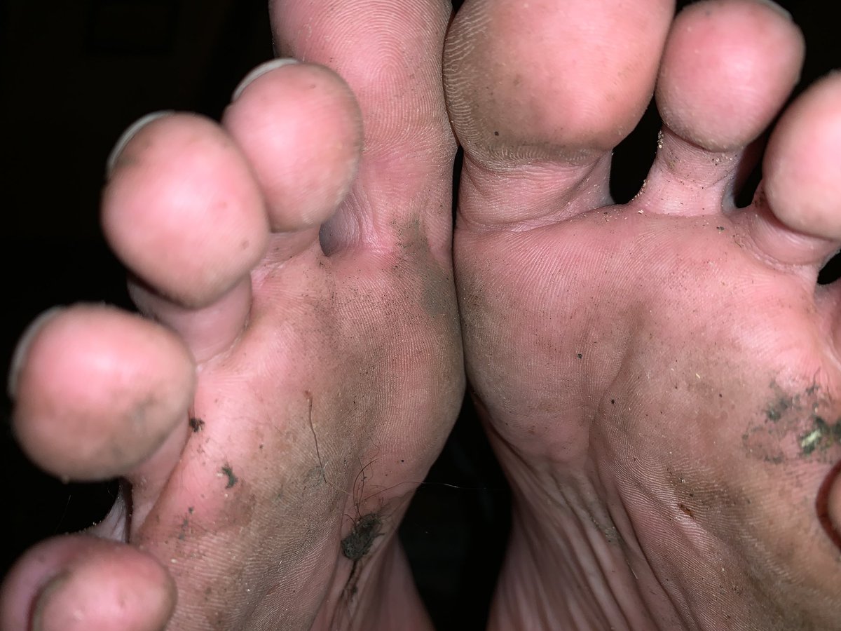 KingsSoles's tweet photo. My feet are disgusting, which one of you losers will lick them clean for #alpha #findom #footfreak #cashmaster https://t.co/RvNNIluXFz